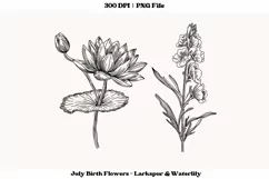 July Birth Month Flower PNG  July Birth Flower Clipart