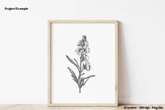 July Birth Month Flower PNG  July Birth Flower Clipart