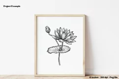 July Birth Month Flower PNG  July Birth Flower Clipart