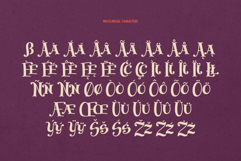 Jumping Rabbit - Funny Font Product Image 8