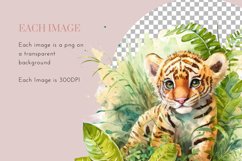 Jungle Animals | Watercolour Clipart PNG Product Image 5