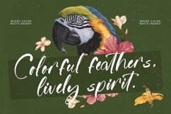 Jungle Coastal - Natural Handwritten Font Product Image 2