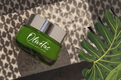 Jungle Coastal - Natural Handwritten Font Product Image 5