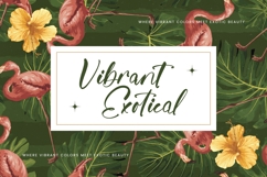 Jungle Coastal - Natural Handwritten Font Product Image 8