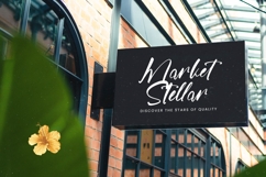 Jungle Coastal - Natural Handwritten Font Product Image 11