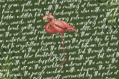Jungle Coastal - Natural Handwritten Font Product Image 13
