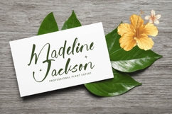 Jungle Coastal - Natural Handwritten Font Product Image 16