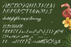 Jungle Coastal - Natural Handwritten Font Product Image 18