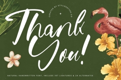 Jungle Coastal - Natural Handwritten Font Product Image 20