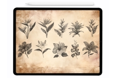 Jungle Flowers Procreate Stamps - Procreate Brushes