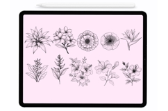 Jungle Flowers Procreate Stamps - Procreate Brushes