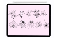 Jungle Flowers Procreate Stamps - Procreate Brushes