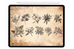 Jungle Flowers Procreate Stamps - Procreate Brushes