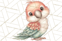 Jungle Friends, Safari Animals, Tropical Clipart Png Product Image 4