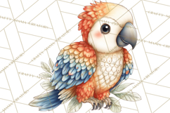 Jungle Friends, Safari Animals, Tropical Clipart Png Product Image 2