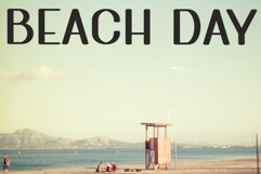 Jungle House Product Image 2