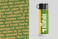 Jungle Melon - Groovy Serif Display Font Product Image 7