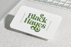 Jungle Melon - Groovy Serif Display Font Product Image 12