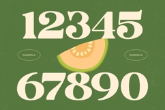 Jungle Melon - Groovy Serif Display Font Product Image 13