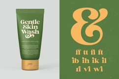 Jungle Melon - Groovy Serif Display Font Product Image 14