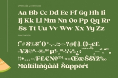 Jungle Melon - Groovy Serif Display Font Product Image 18