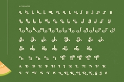 Jungle Melon - Groovy Serif Display Font Product Image 19