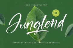 Junglend - Bold Handwritten Font Product Image 1