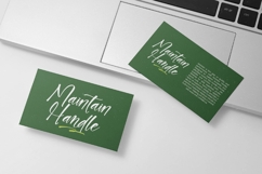 Junglend - Bold Handwritten Font Product Image 4