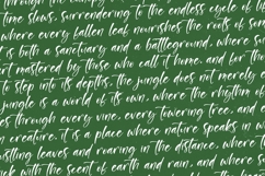 Junglend - Bold Handwritten Font Product Image 12
