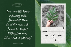 Junglend - Bold Handwritten Font Product Image 13