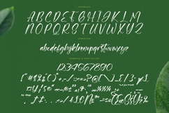 Junglend - Bold Handwritten Font Product Image 18