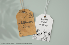 Junipero Script Product Image 8