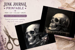journal junk |gothic skull PNG Product Image 1