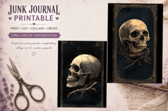 journal junk |gothic skull PNG Product Image 1