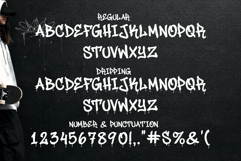 Junky Style | Webfont Dripping Handwritten for Websites Product Image 8