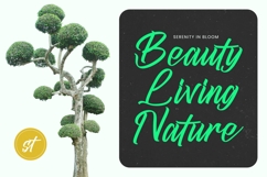 Juntink Sunday - Bold Calligraphy Font Product Image 14