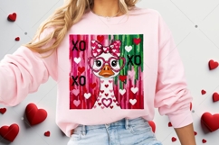 Just a lovely goose, Valentine Goose Latch Hook Yarn Product Image 10