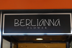 Just Beginning Product Image 6