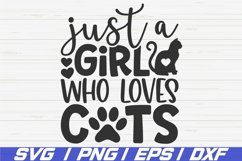 Cat Mom SVG Bundle / Cut Files / Funny Cat Quotes Product Image 22