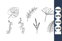 Hand Drawn Botanical Leaves Collection with Fern and Ginkgo Product Image 1