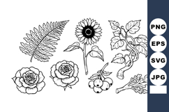 Black and white line art of various flowers and leaves botan Product Image 1