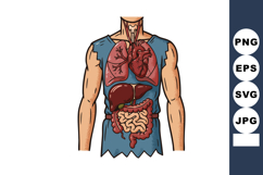 Human Digestive and Respiratory Organs Vector Illustration S Product Image 1