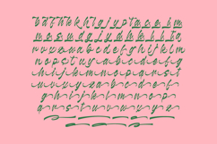 Kabetha Shelyne Bold Calligraphy Font Product Image 14