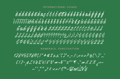 Kabetha Shelyne Bold Calligraphy Font Product Image 17