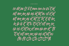 Kabetha Shelyne Bold Calligraphy Font Product Image 18