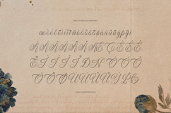 Kaletero | Calligraphy Script Product Image 11
