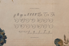 Kaletero | Calligraphy Script Product Image 12