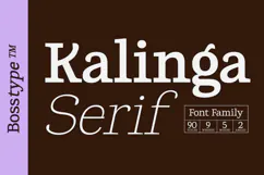 Kalinga | 91 Style Font Product Image 15