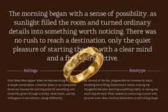 Kalinga | 91 Style Font Product Image 11