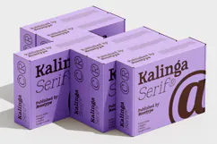 Kalinga | 91 Style Font Product Image 9